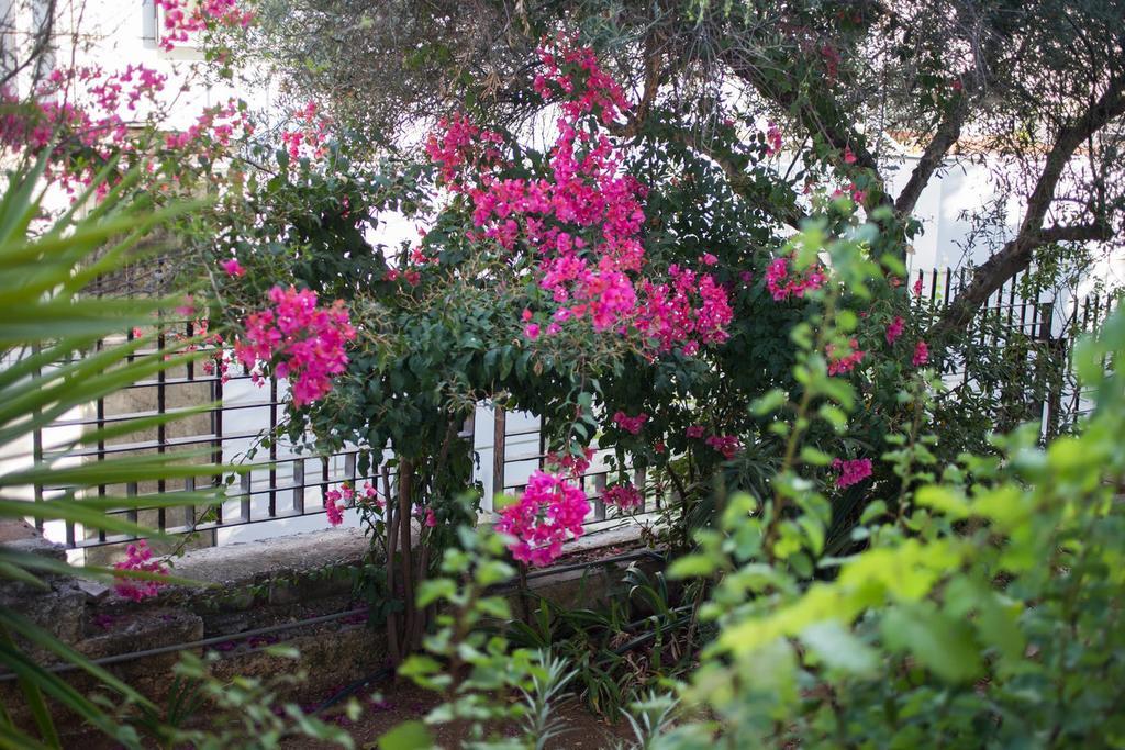 Glyfada Riviera Home Афины Экстерьер фото